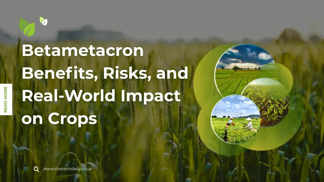 Betametacron: Benefits, Risks, and Impact on Crops